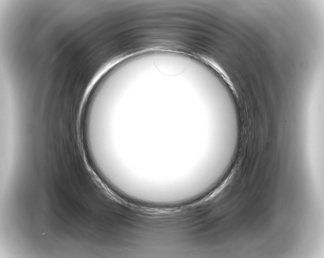 X0000084541122200703161623