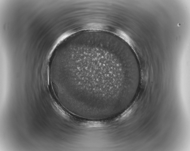 X0000084541123200703161623