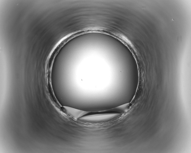 X0000084541124200703161623