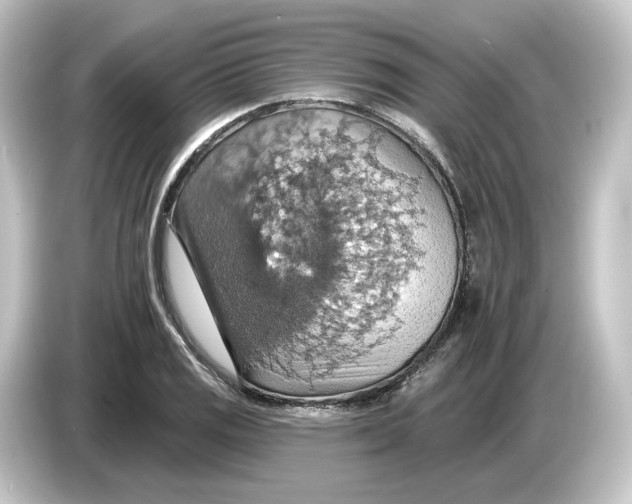 X0000084541125200703161623