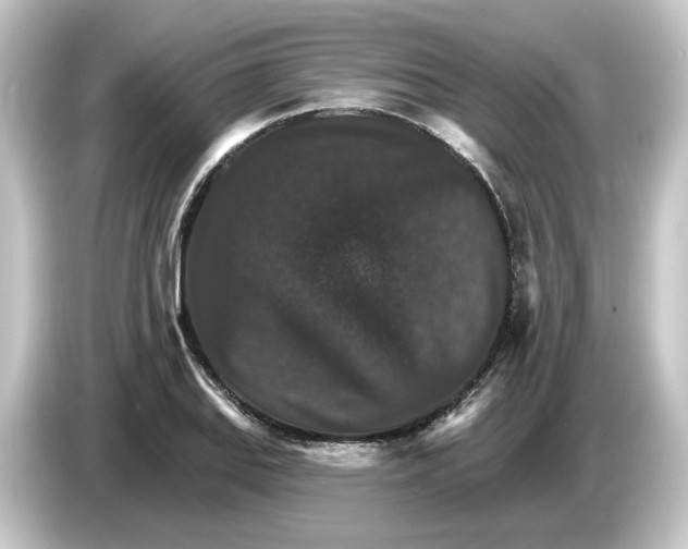 X0000084541127200703161623