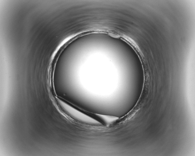 X0000084541128200703161623