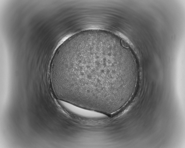 X0000084541129200703161623