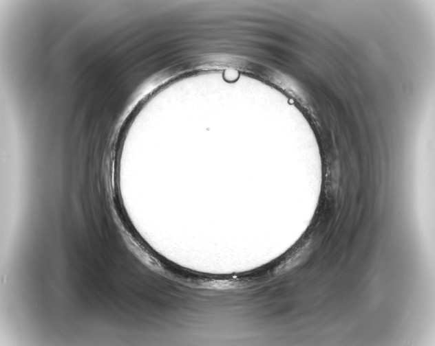 X0000084541130200703161623