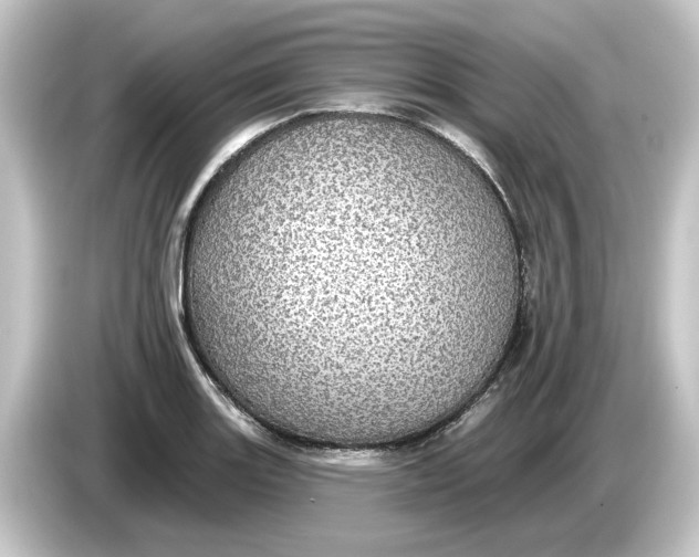 X0000084541131200703161623