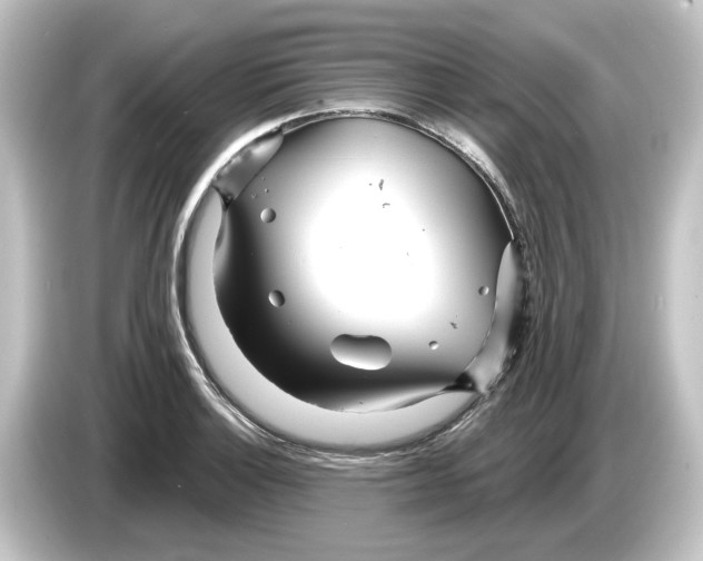 X0000084541132200703161623