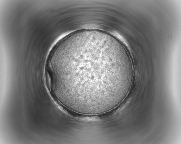 X0000084541133200703161623