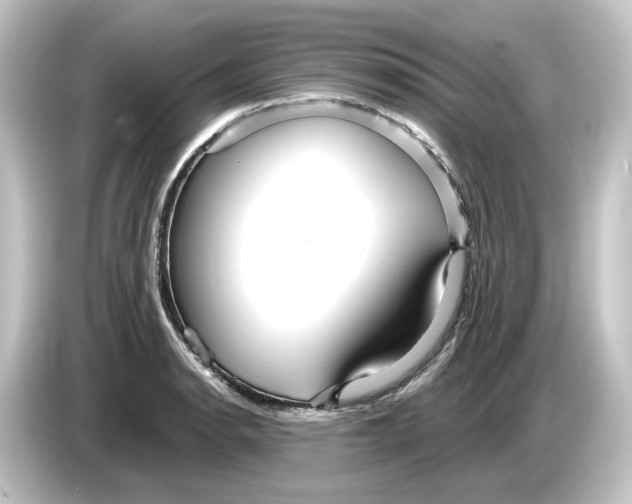 X0000084541134200703161623