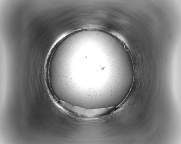 X0000084541135200703161623