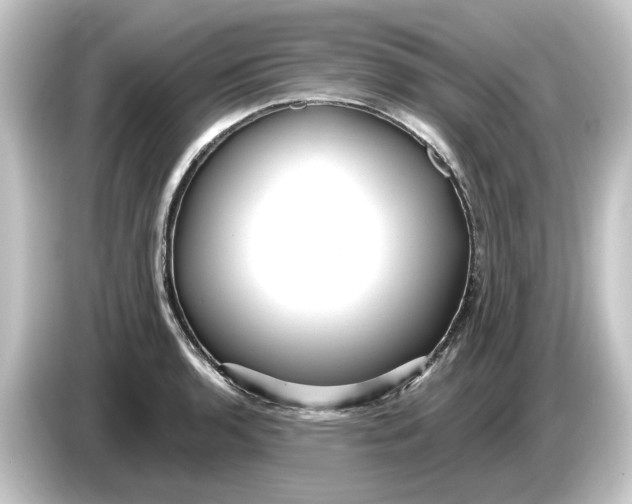 X0000084541136200703161623