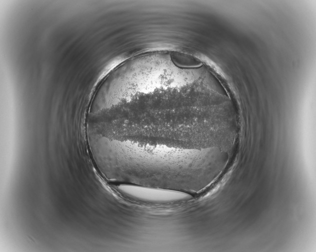 X0000084541137200703161623