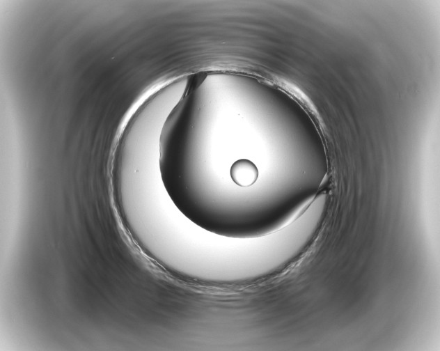 X0000084541138200703161623