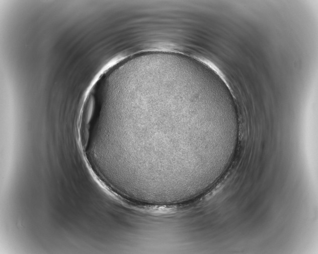 X0000084541139200703161623