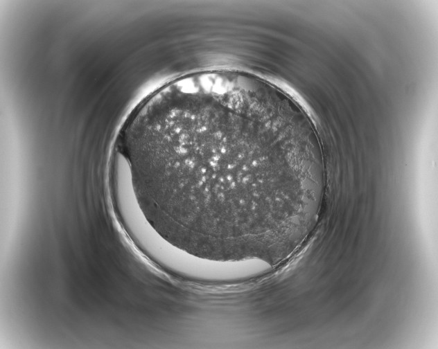 X0000084541142200703161623