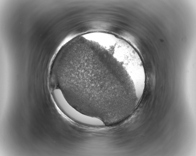 X0000084541143200703161623