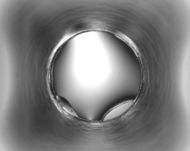 X0000084541144200703161623