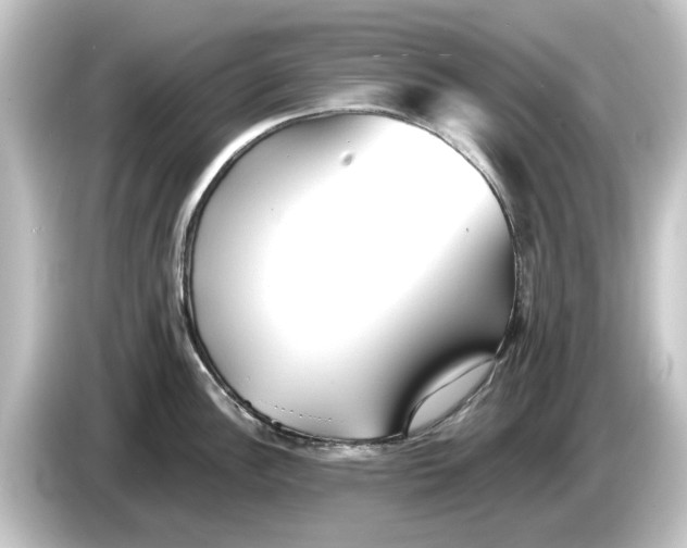 X0000084541148200703161623