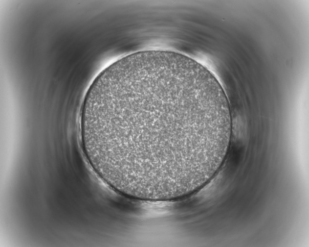 X0000084541150200703161623