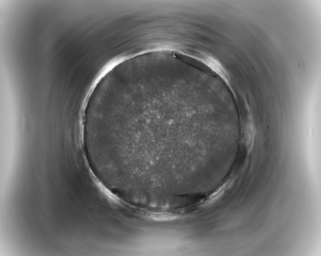 X0000084541151200703161623