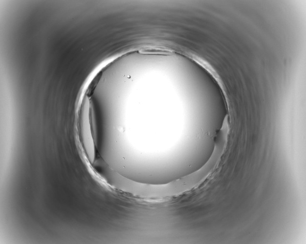 X0000084541152200703161623