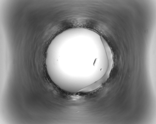 X0000084541153200703161622