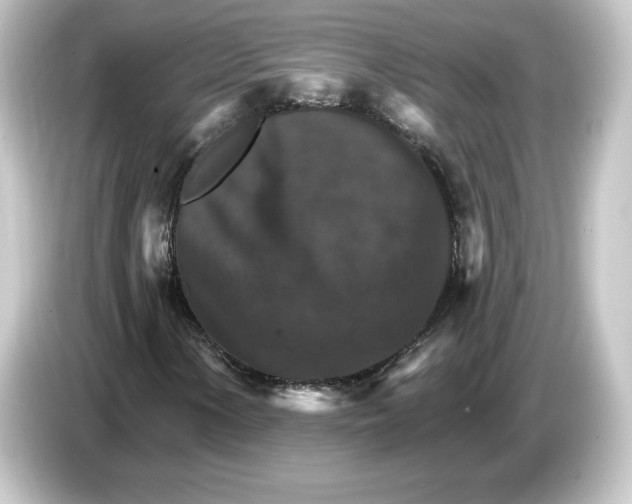 X0000084541154200703161622