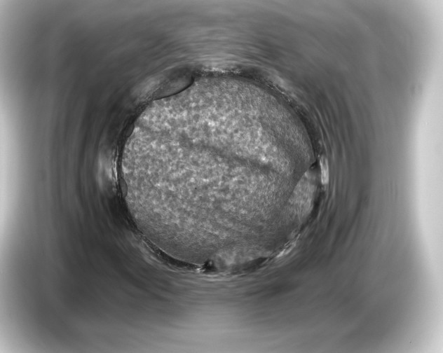 X0000084541155200703161622