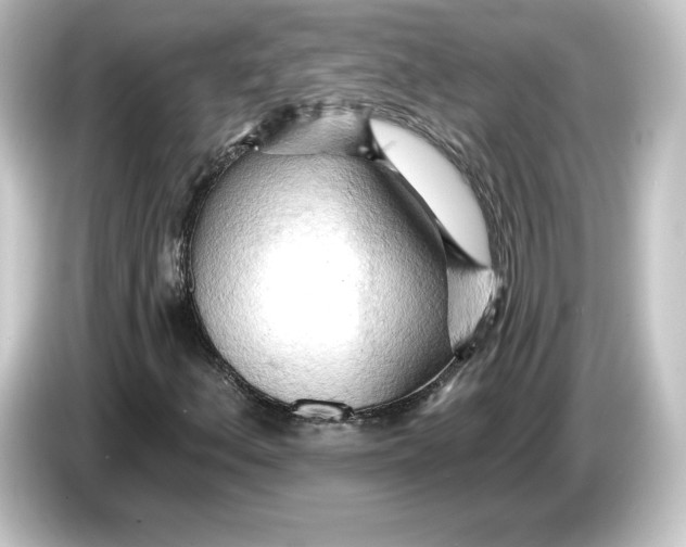 X0000084541156200703161622