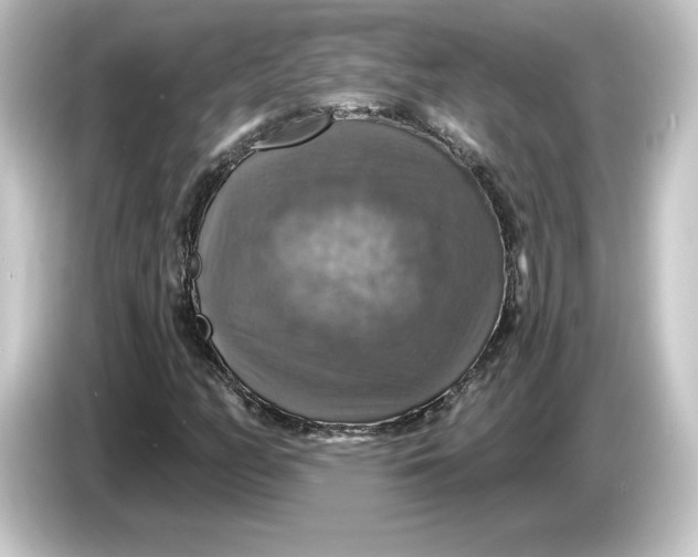 X0000084541158200703161622