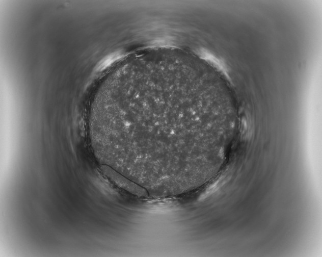 X0000084541159200703161622