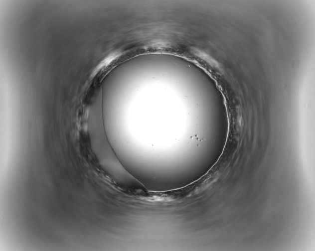 X0000084541160200703161622