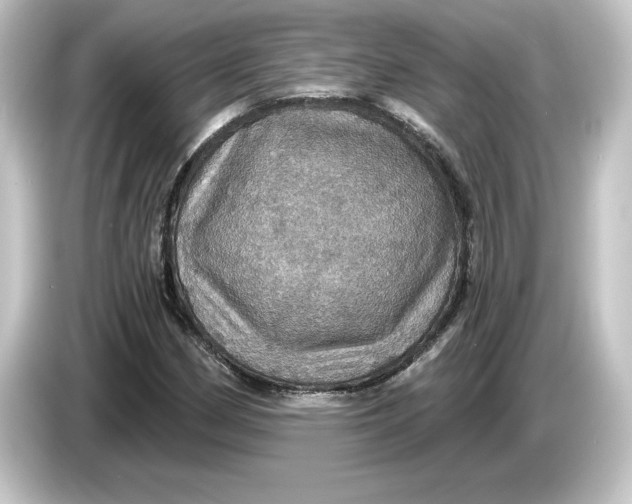 X0000084541162200703161622