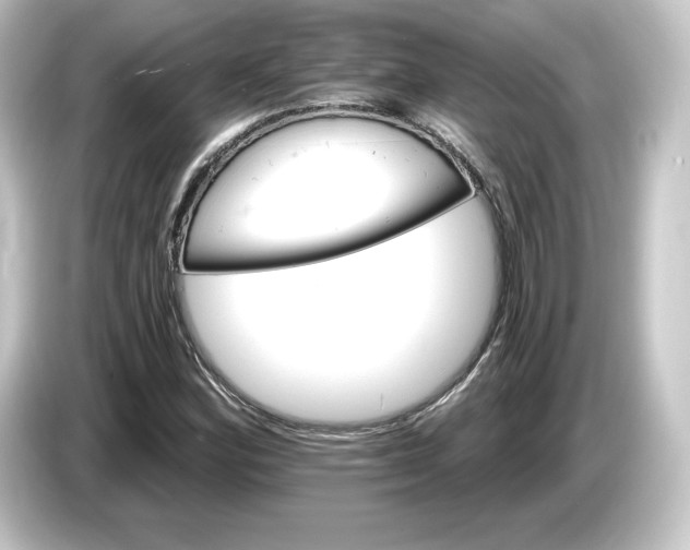 X0000084541164200703161622