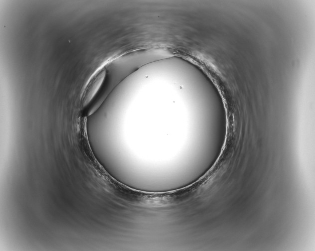 X0000084541165200703161622