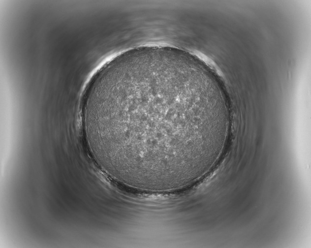 X0000084541167200703161622