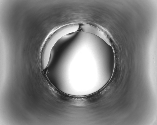 X0000084541168200703161622