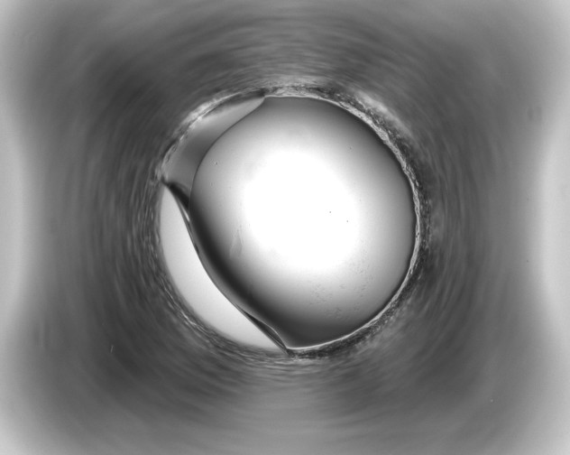 X0000084541169200703161622