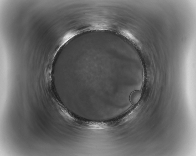 X0000084541170200703161622