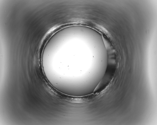 X0000084541172200703161622