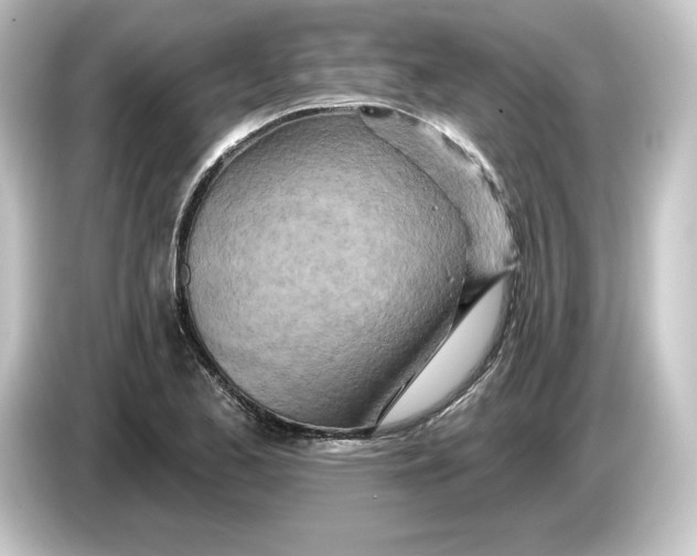 X0000084541173200703161622