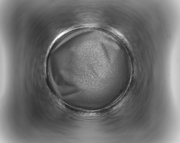 X0000084541174200703161622