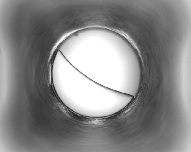 X0000084541175200703161622