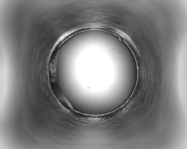 X0000084541176200703161622