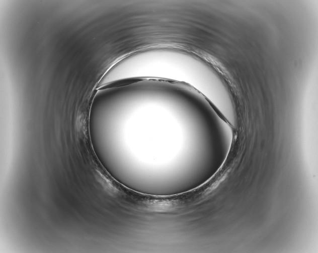 X0000084541177200703161622