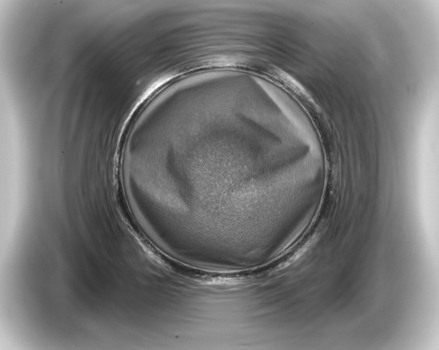 X0000084541178200703161622