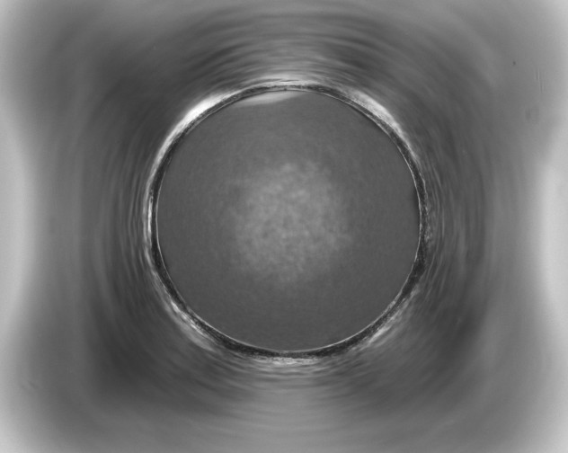 X0000084541179200703161622