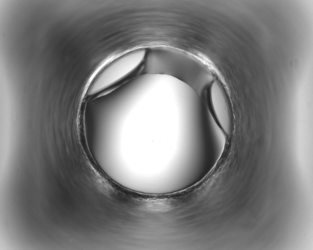 X0000084541181200703161622