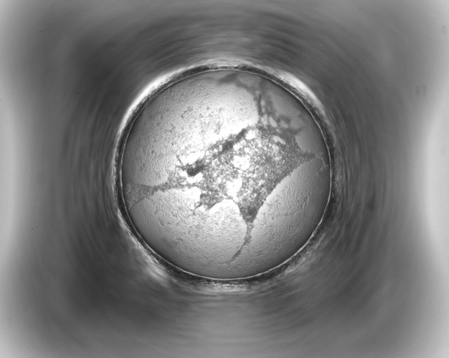 X0000084541183200703161622