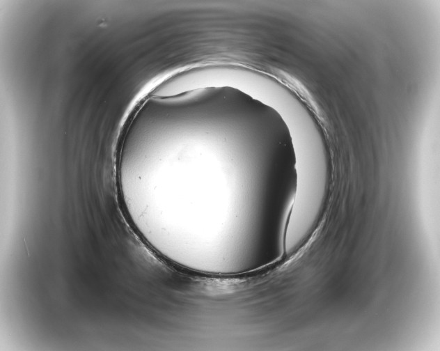 X0000084541184200703161622