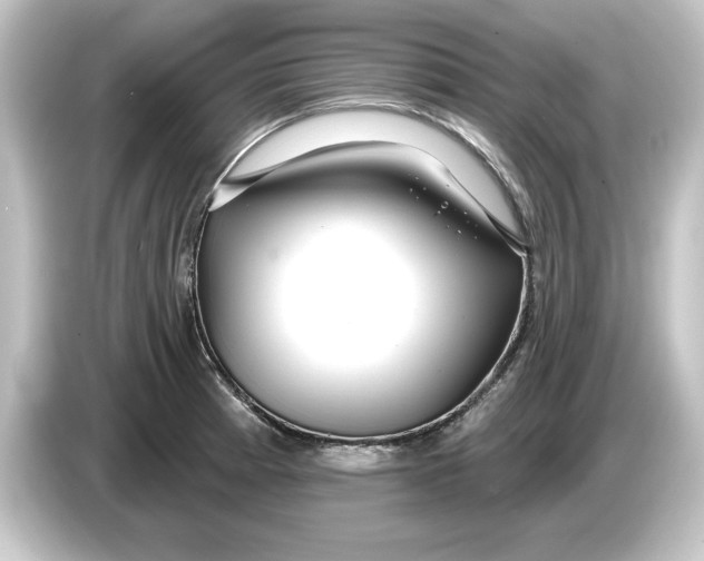 X0000084541185200703161622